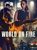 Cartel de El mundo en llamas