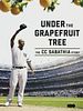 Cartel de Under the Grapefruit Tree: The CC Sabathia Story