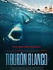 Cartel de Tiburón blanco