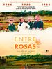 Cartel de Entre rosas