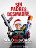 Cartel de Por fin solo en casa
