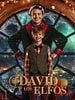 Cartel de David y los Elfos
