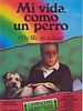 Cartel de Mi vida como un perro