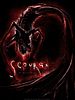 Cartel de Scourge
