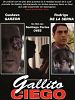 Cartel de Gallito ciego