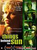 Cartel de Things behind the sun