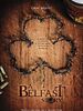 Cartel de A Belfast Story