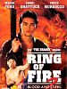 Cartel de Ring of Fire II : Sangre y acero