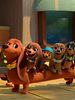 Cartel de Pretzel y sus cachorros