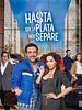 Cartel de Hasta que la plata nos separe