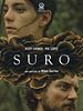Cartel de Suro
