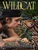 Cartel de Wildcat