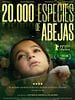 Cartel de 20.000 especies de abejas