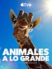imagen de 