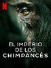 imagen de 