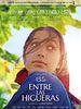 Cartel de Entre las higueras