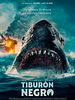 Cartel de Tiburón negro