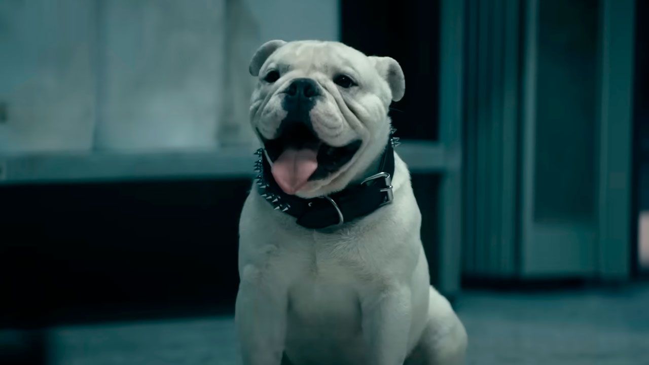 Número 1 instantáneo en Prime Video: El comienzo del que probablemente sea el mayor final de serie del año arrasa en las listas de popularidad