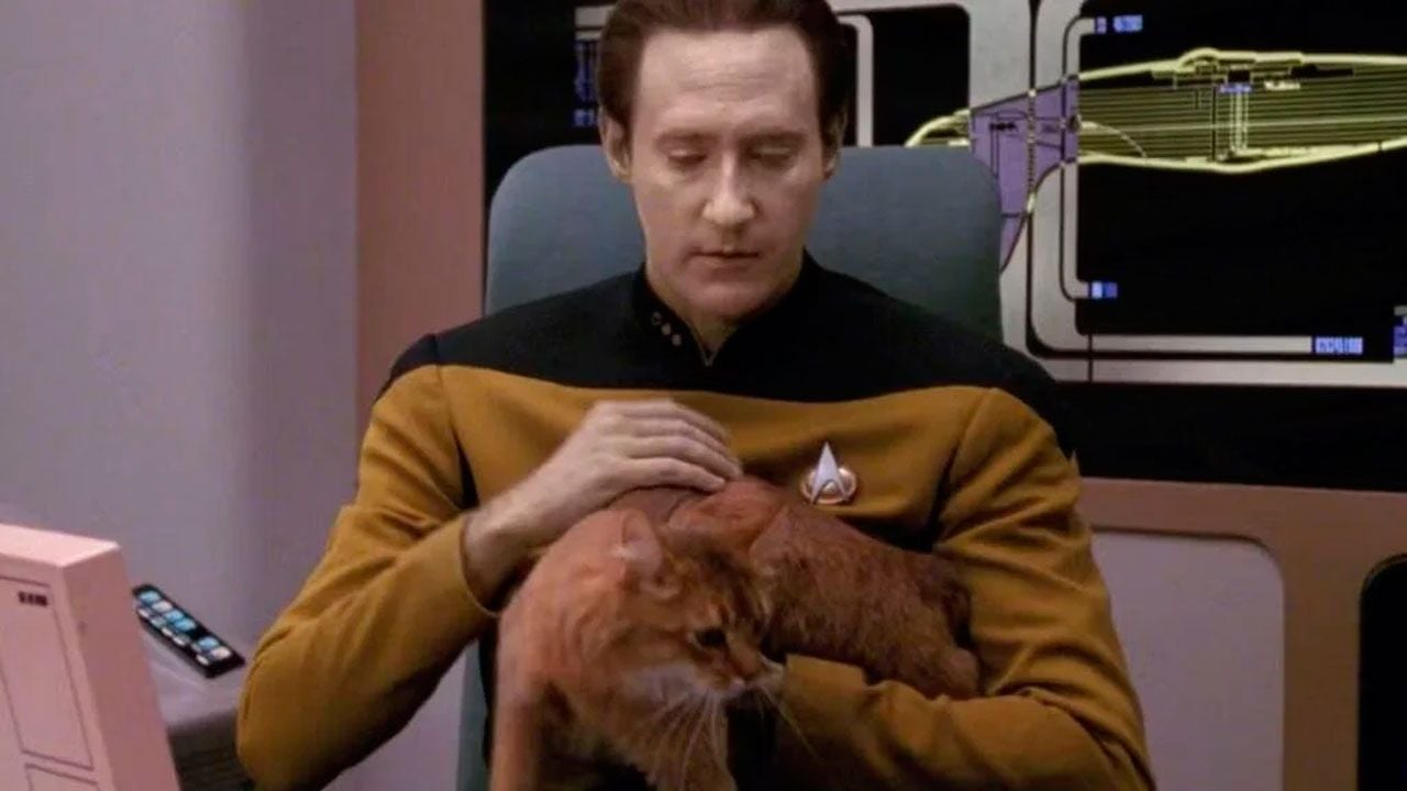 Hemos aceptado durante 30 años este error de ‘Star Trek’ sin cuestionarlo: Algo no encaja con el gato de Data