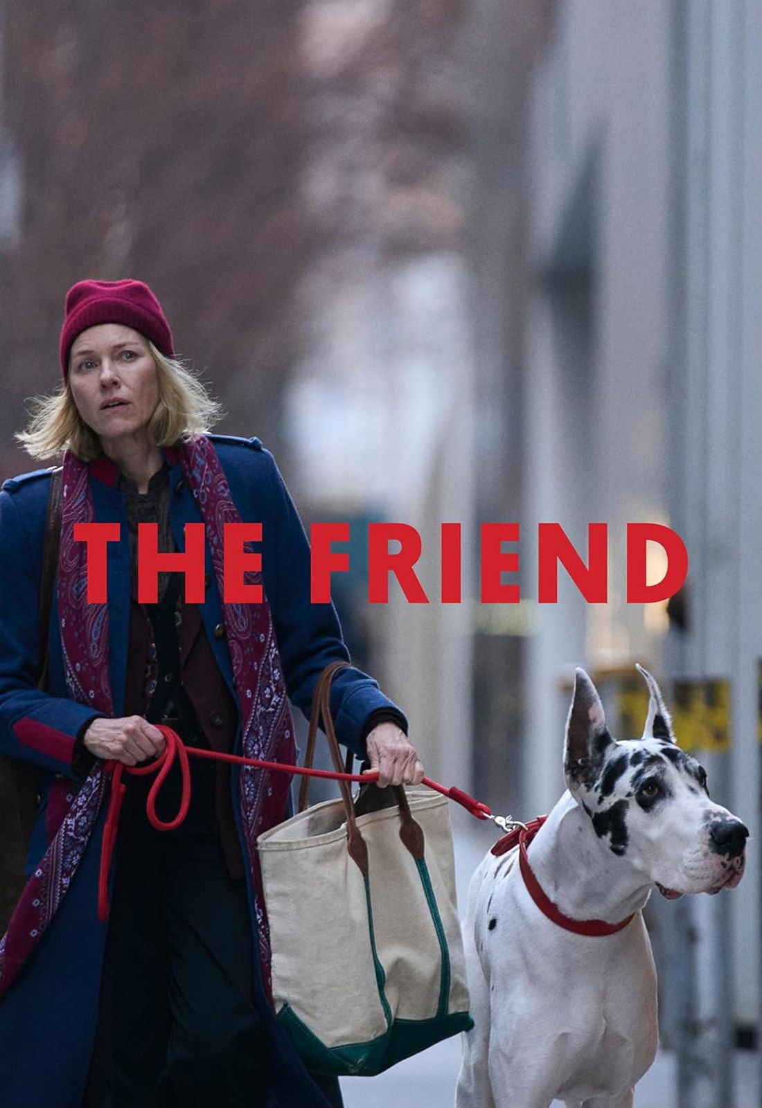 The friend pel cula 2024 sensacine