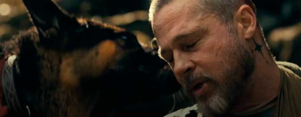 Brad Pitt: "Encuentro paz en la naturaleza y creo en el valor de la soledad"