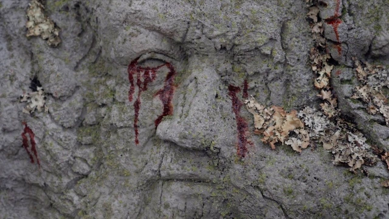 George R.R. Martin en el Arciano de Harrenhal