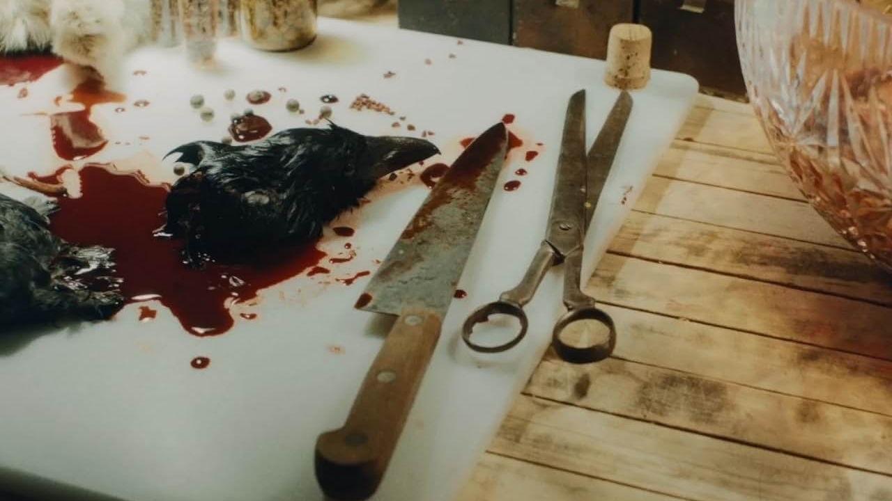 No paraba de leer buenos comentarios sobre esta serie de terror fuera de lo común: les he tenido que dar la razón