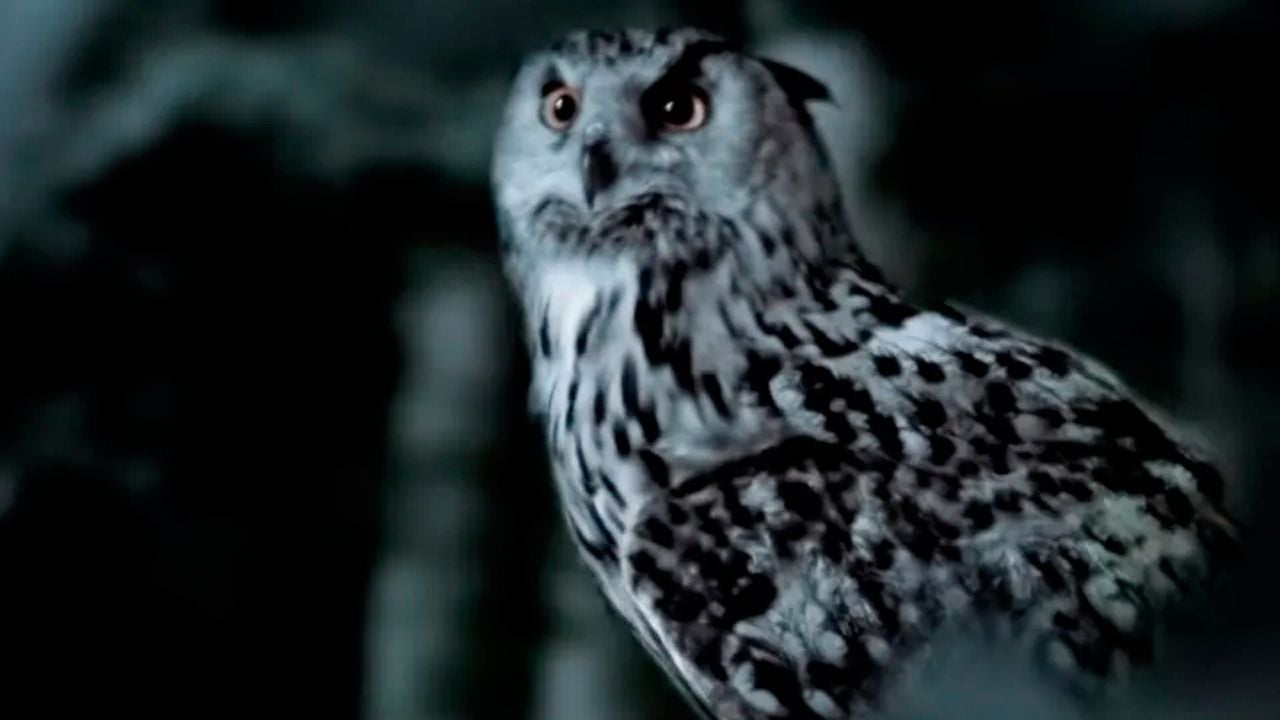 En 2018 me obsesioné como nunca con este crimen real: la serie de ficción que acaba de llegar a Netflix incluye la teoría que el documental pasó por alto