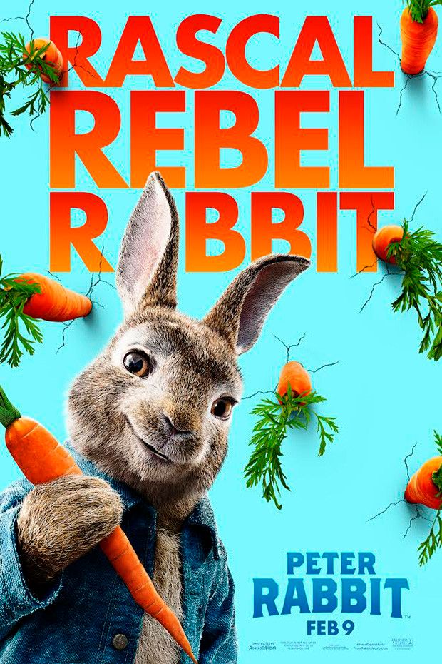 Cartel de la película Peter Rabbit - Foto 1 por un total de 20 ...
