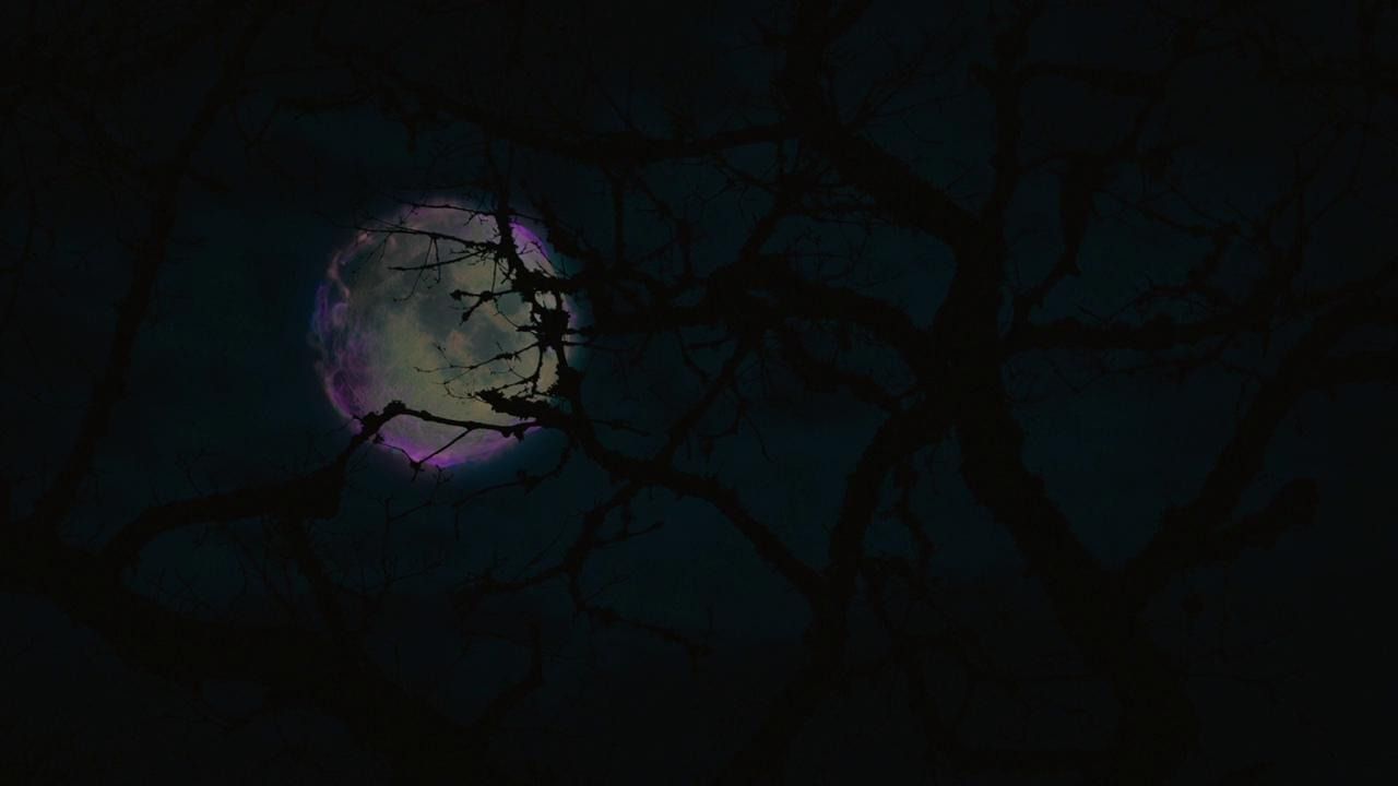 Nadie fue a verla, pero esta comedia de terror sólo dura hora y media y tiene un reparto descomunal