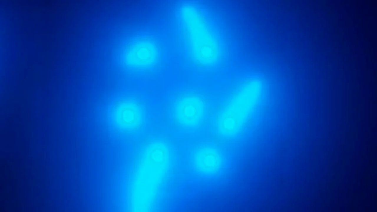 Las nuevas bolas de dragón