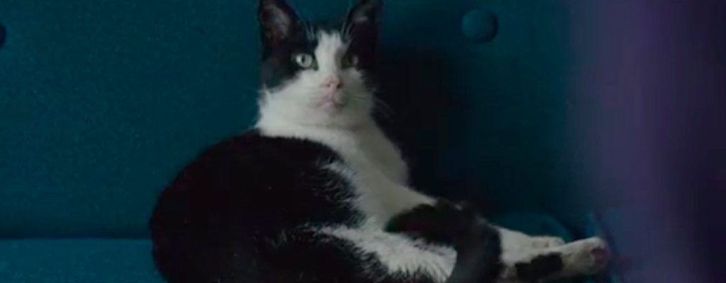 Hace 11 años, un despido fulminante hundió esta película: tiempo después acabaría llegando a los Oscar