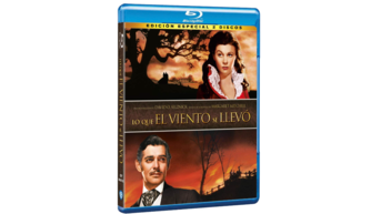 Lo que el viento se llevó