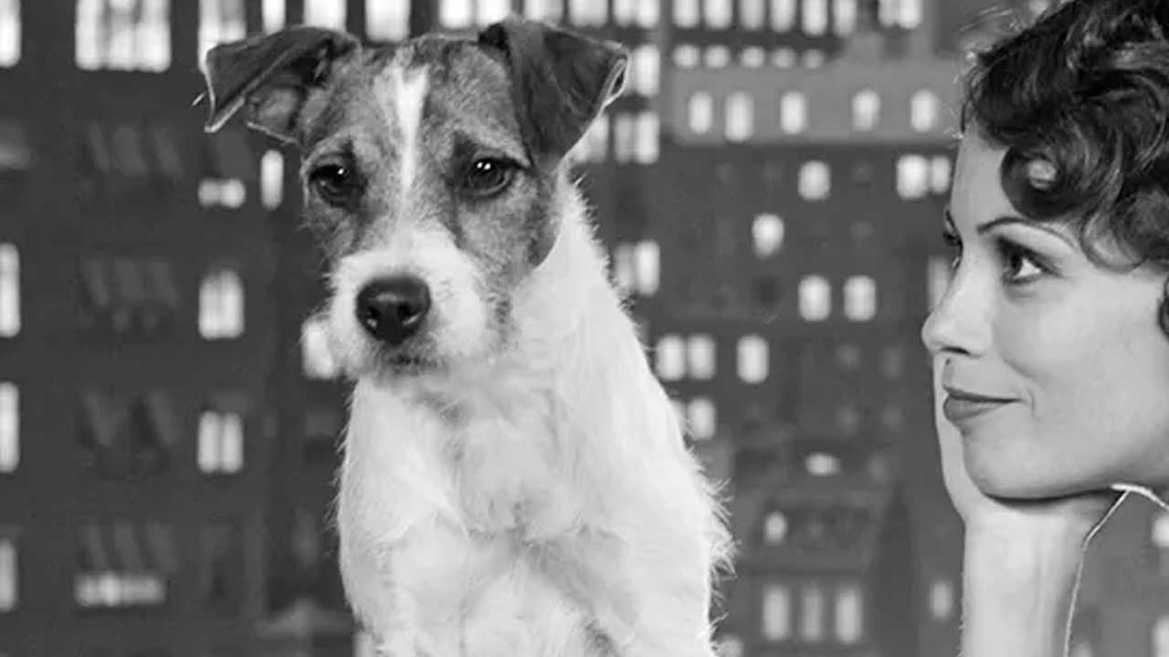 Siempre se nos olvida que existe, pero esta película fue todo un hito cinematográfico la pasada década y ganó cinco premios Oscar