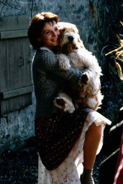 foto de la insoportable levedad del ser foto  sobre  sensacinecom