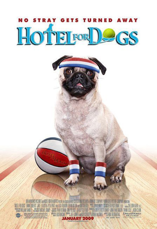 Cartel de Hotel para perros - Foto 24 sobre 30 - SensaCine.com