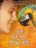 El tesoro de la Isla de Coral - Película 1998