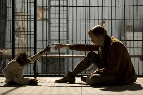 Foto de Paul Bettany - La duda de Darwin : Foto Jon Amiel, Paul Bettany