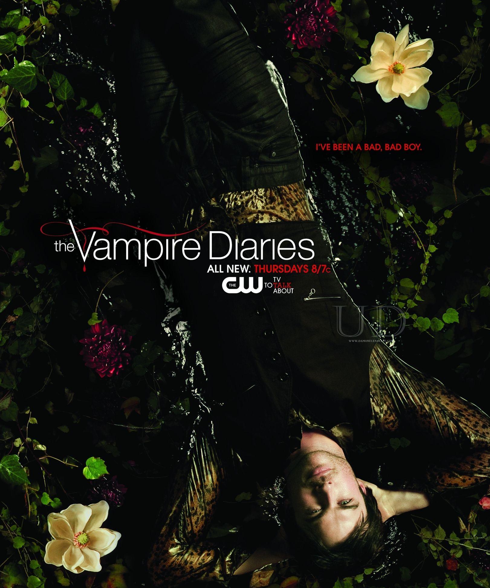 Crónicas vampíricas Foto Ian Somerhalder Foto 824 sobre 1010