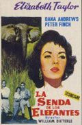 La senda de los elefantes - Película 1954
