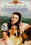 El coraje de Lassie - Película 1946