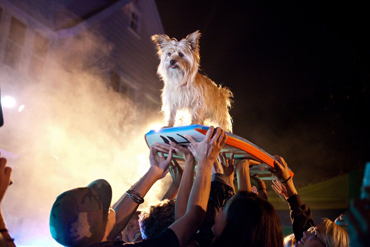 Foto de la película Project X Foto 11 por un total de 33