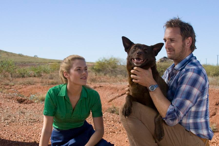 Foto de Josh Lucas Red Dog Foto Rachael Taylor, Josh Lucas Foto 87 de 150