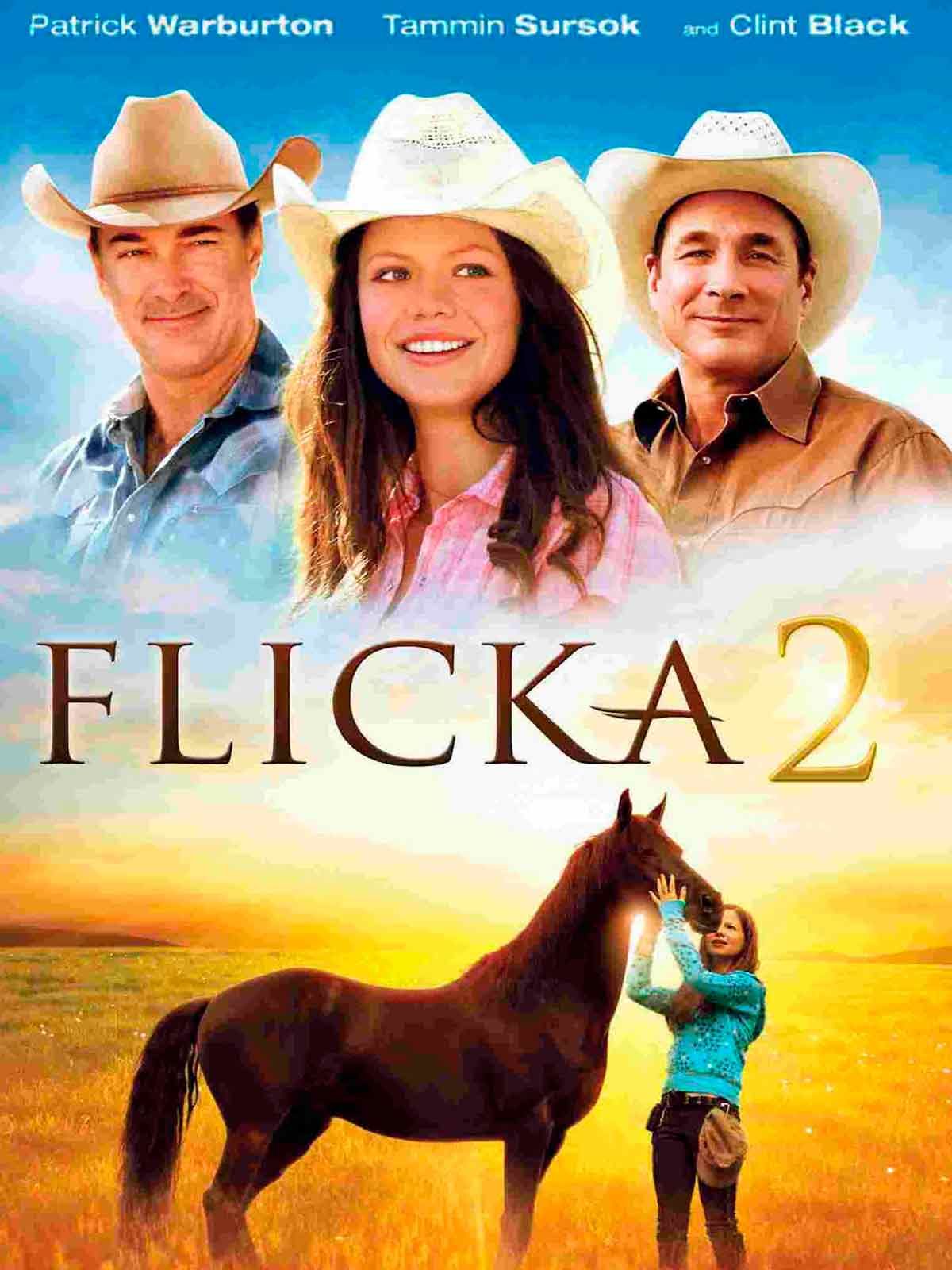 Flicka 2: Friends Forever - Película 2010