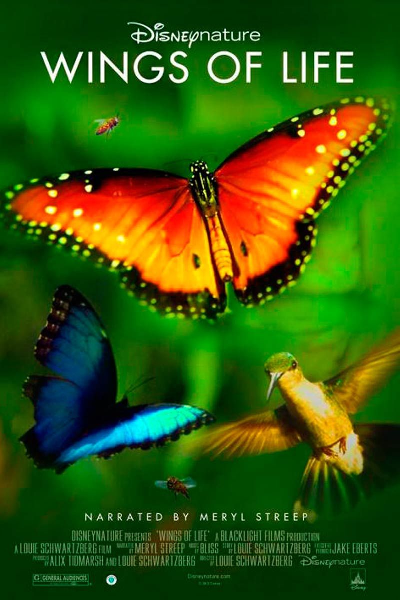 Disneynature: Wings of Life - Documental 2011