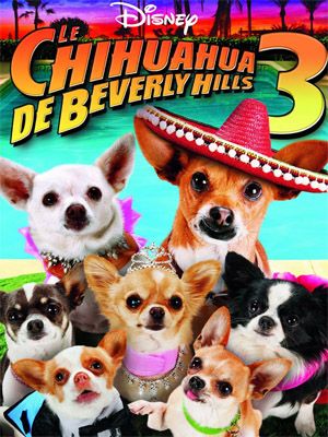 Cartel De La Película Un Chihuahua En Beverly Hills 3: ¡Viva La Fiesta ...