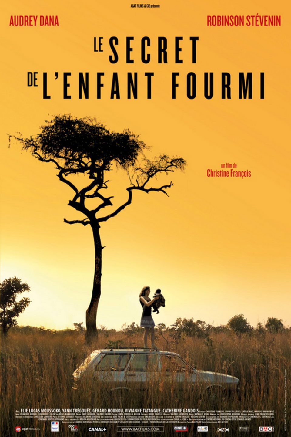 Le Secret de l''enfant fourmi - Película 2011