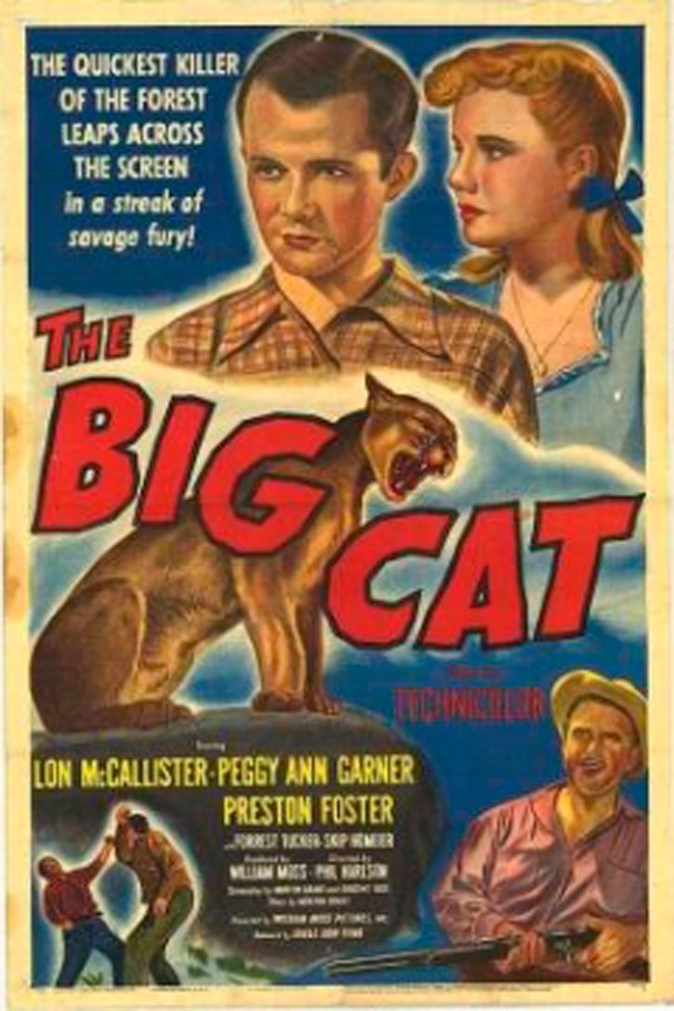 El gran gato - Película 1949