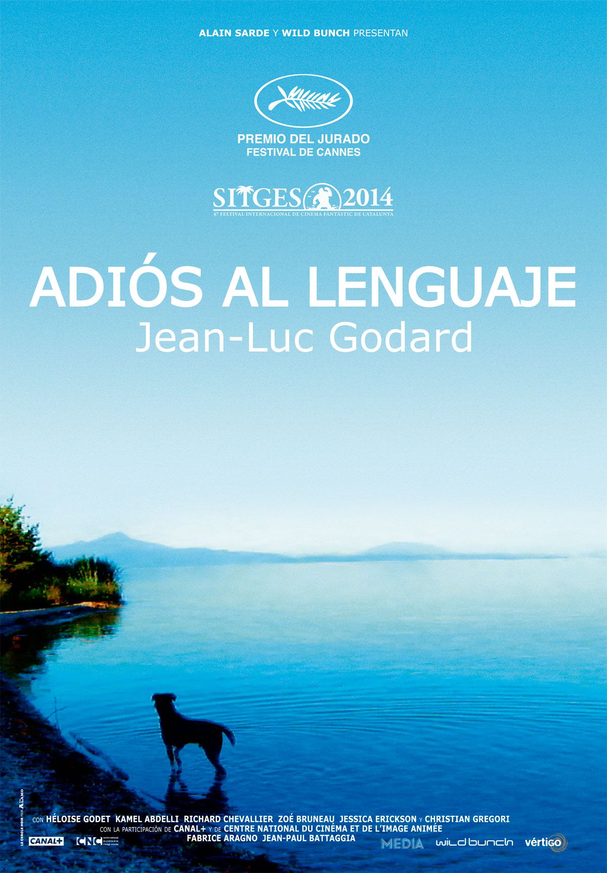 Adiós al lenguaje - Película 2014