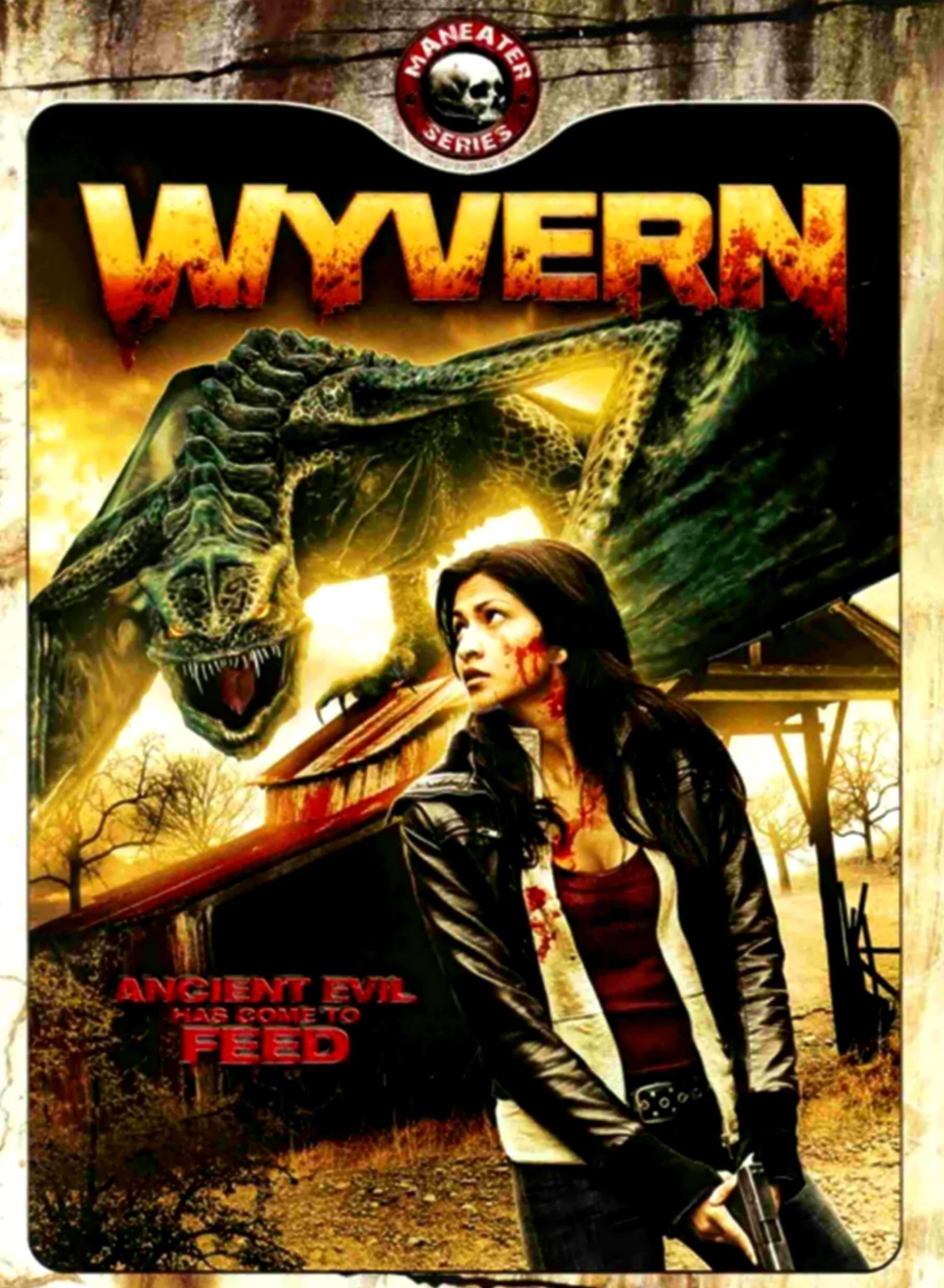 El ataque del dragón - Película 2009